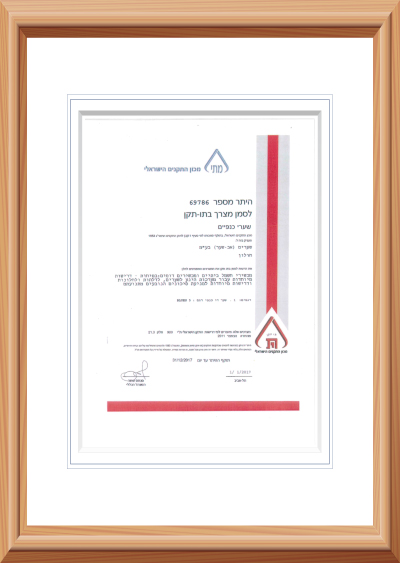 תו תקן שערים חשמליים 4 תן תקן שער כנף חשמלי